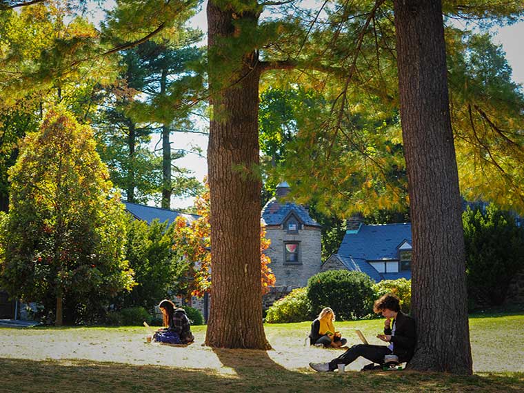 Students sitting under trees in the sun