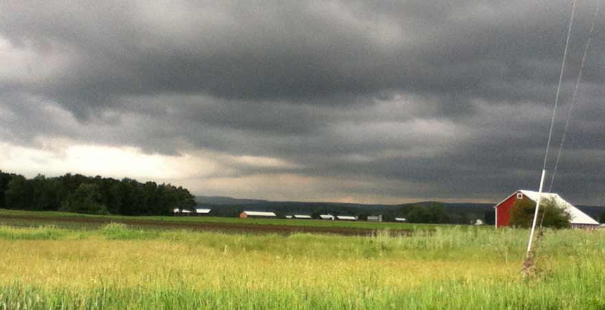 Photograph, Knightly Road, Hadley, Massachusetts