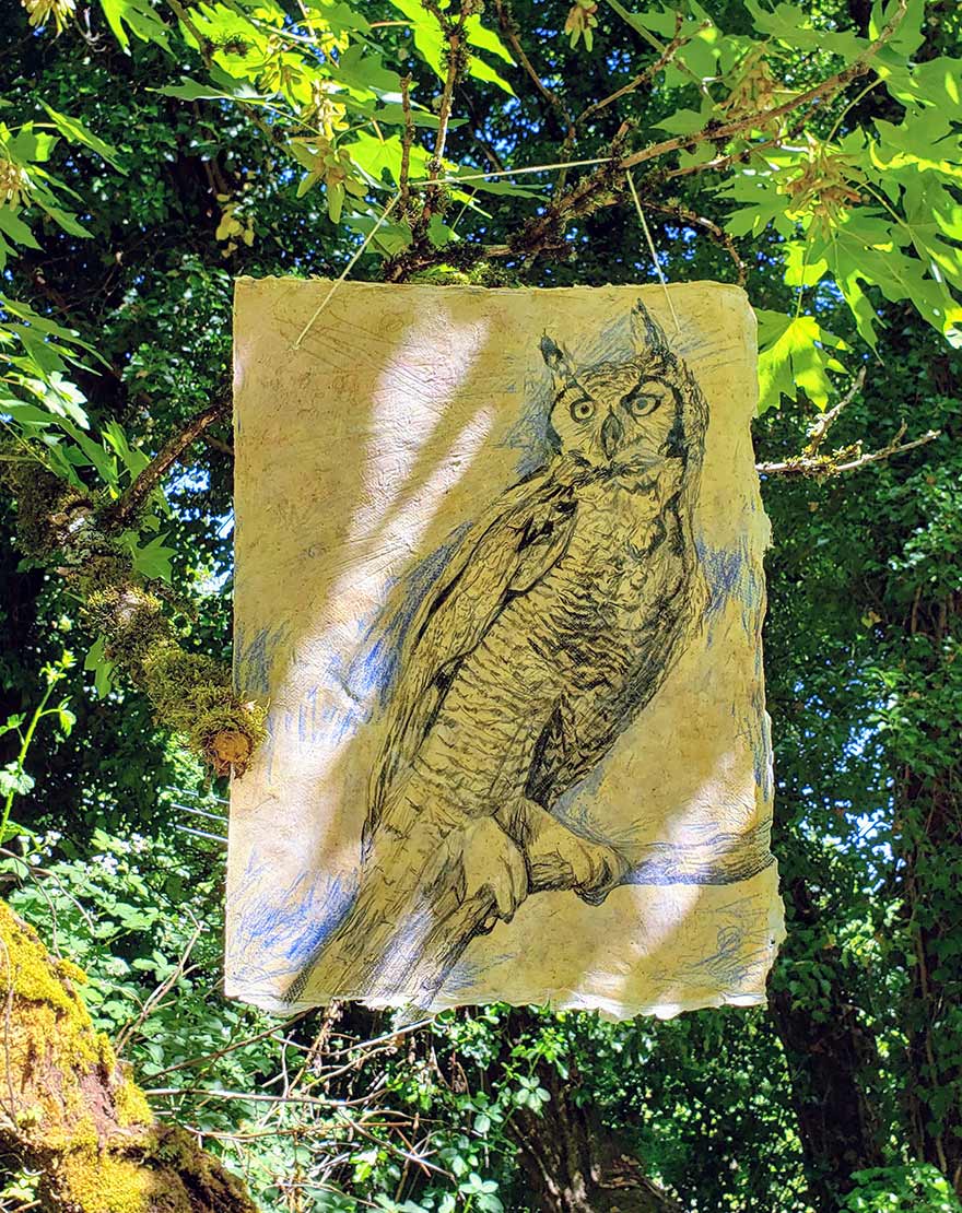 Drawing, Great Horned Owl