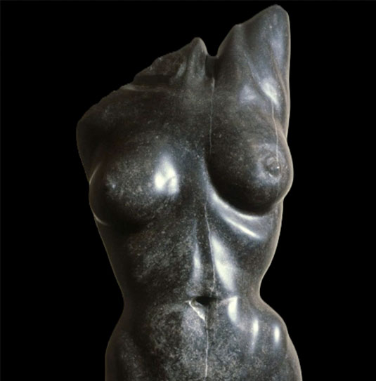 torso