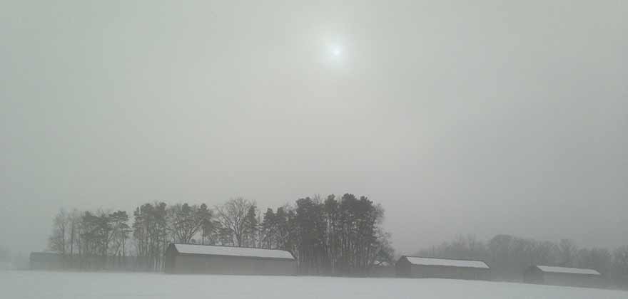 Photograph, Knightly Road, Hadley, Massachusetts, in Winter