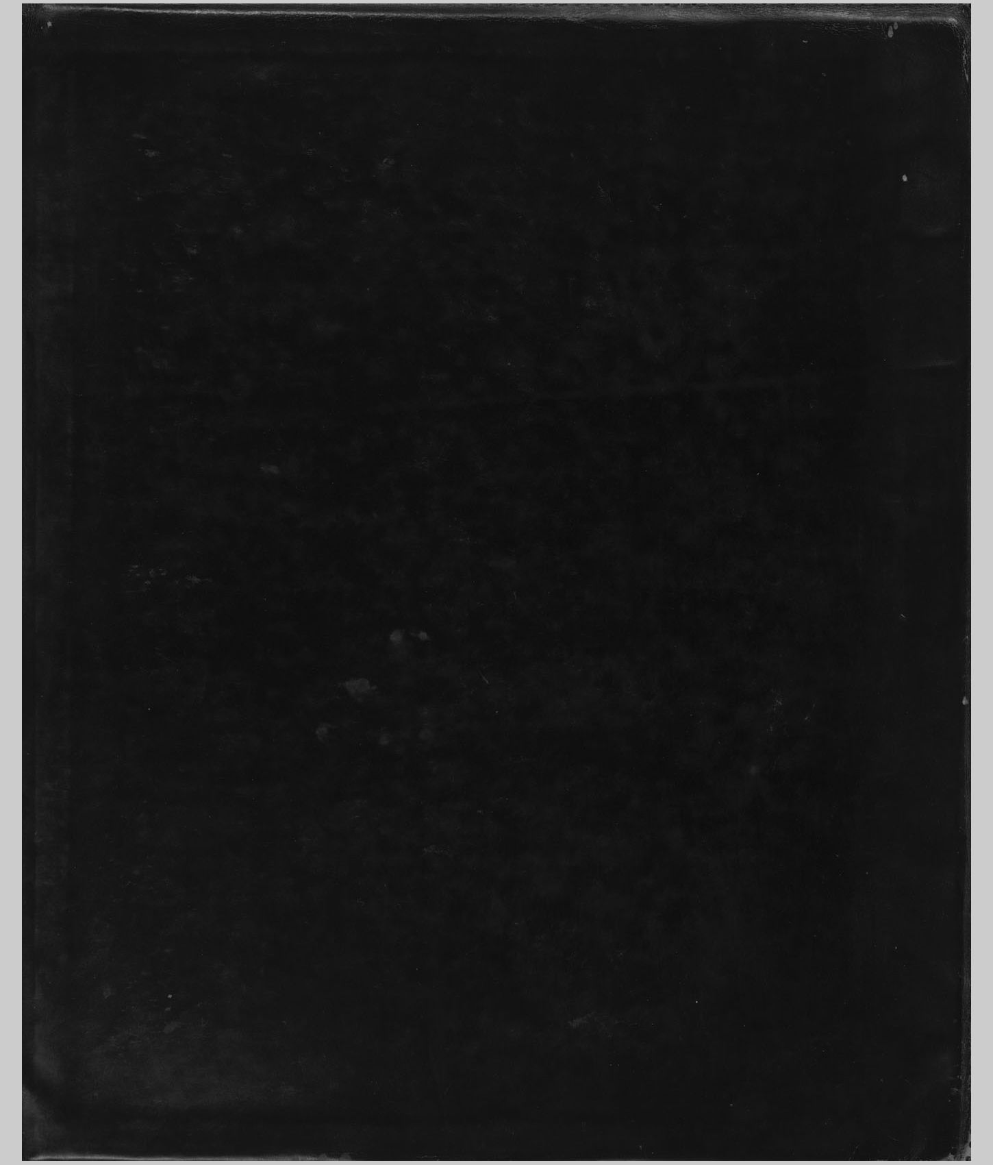 A large image of a page in the scrapbook