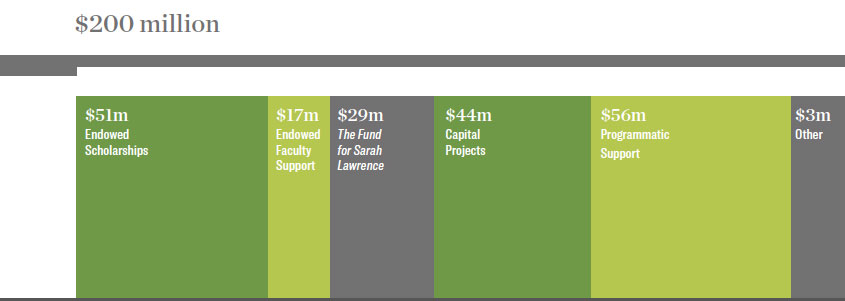 Bar chart showing the amount raised during the campaign