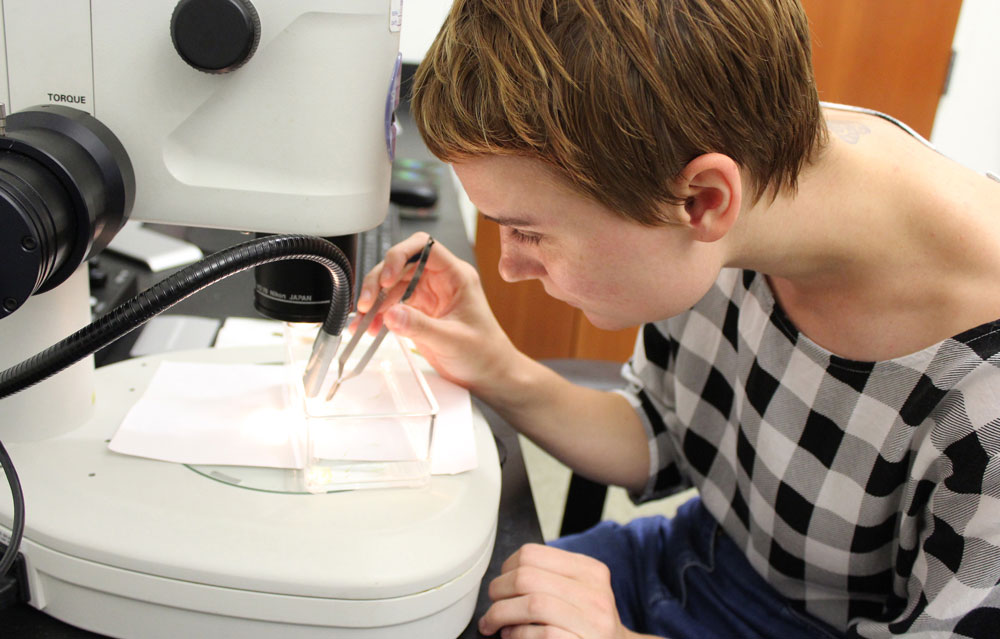 Student adjust material under microscop with tweezers