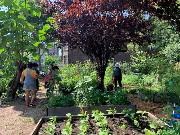 Project-Based Gardening for Different Ages Project-Based Gardening for Different Ages