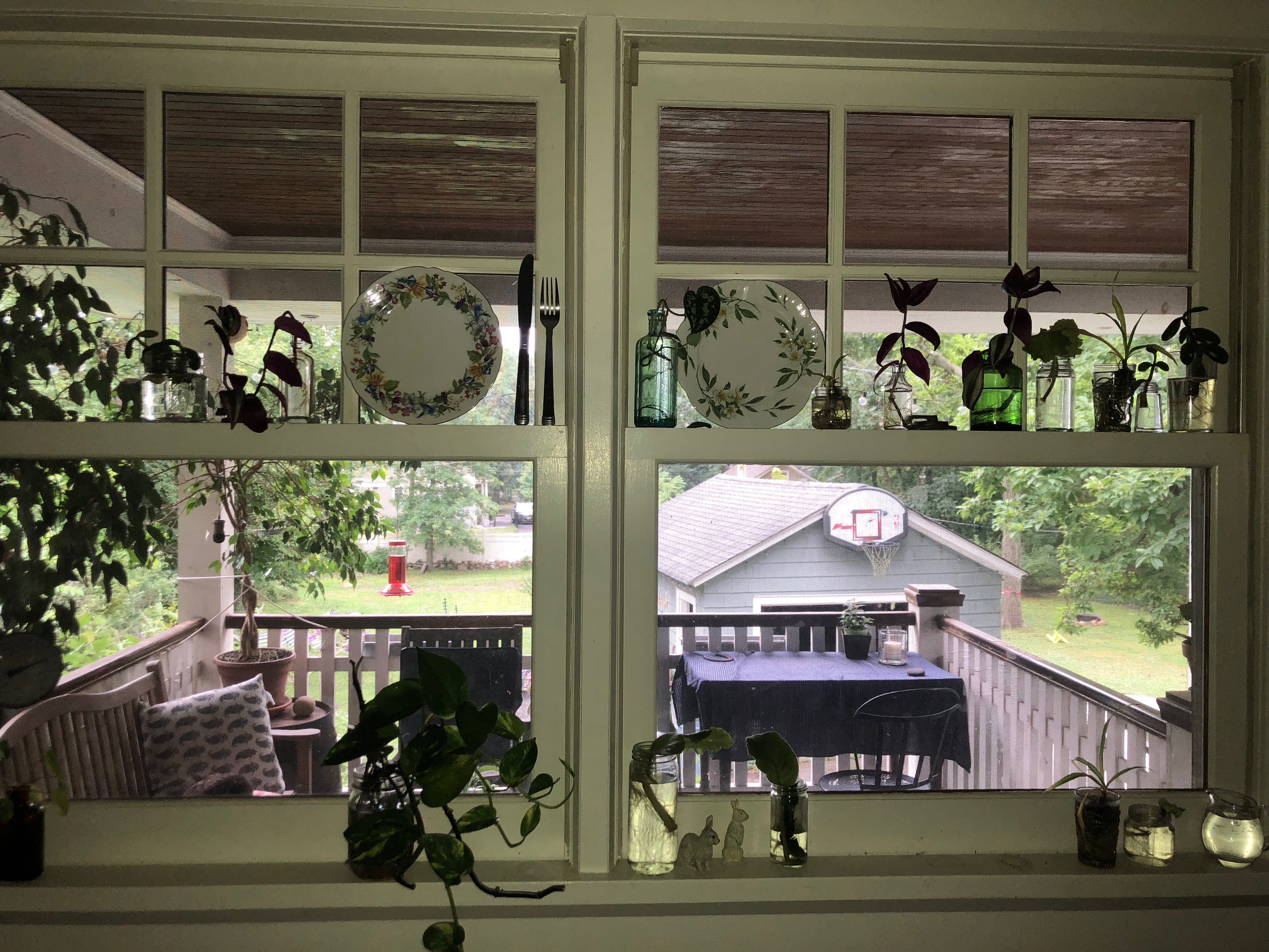 Windows and Plates: Place-based Education in a Time of Distance Learning