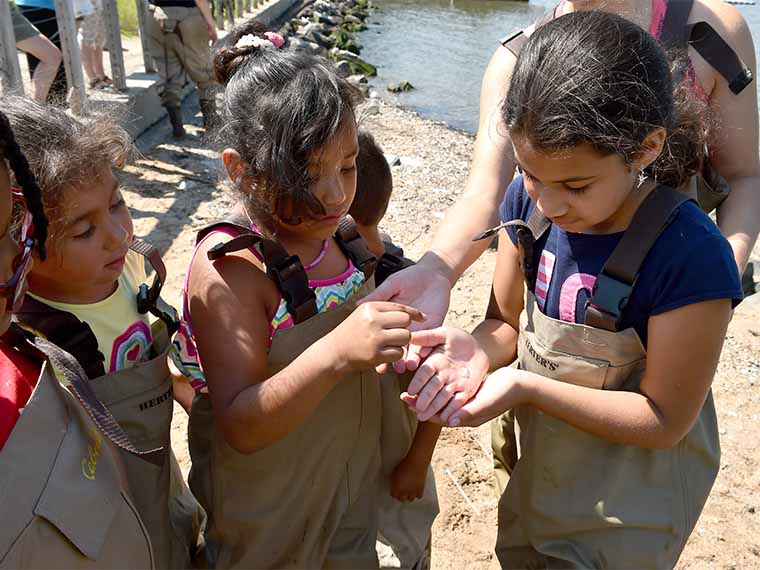 Children doing hands on exploration at the river