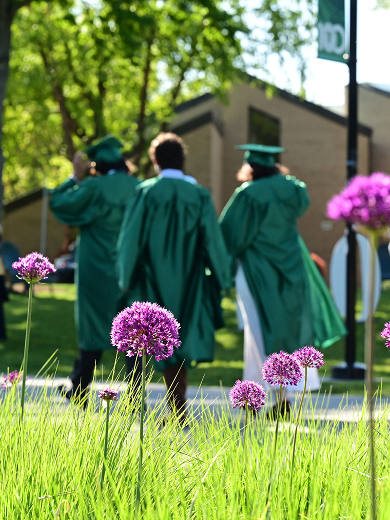 Graduates in caps and gowns with flowers in the foreground