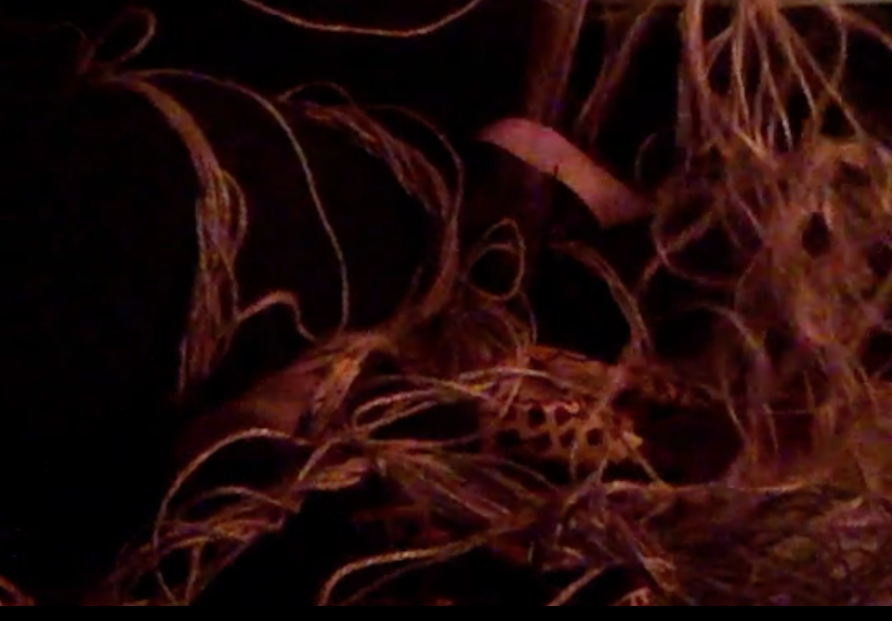 still from video