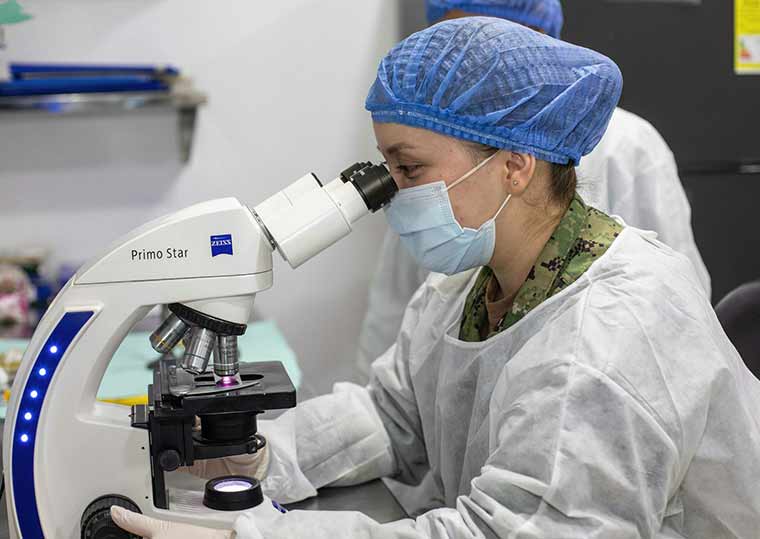 person looking through microscope