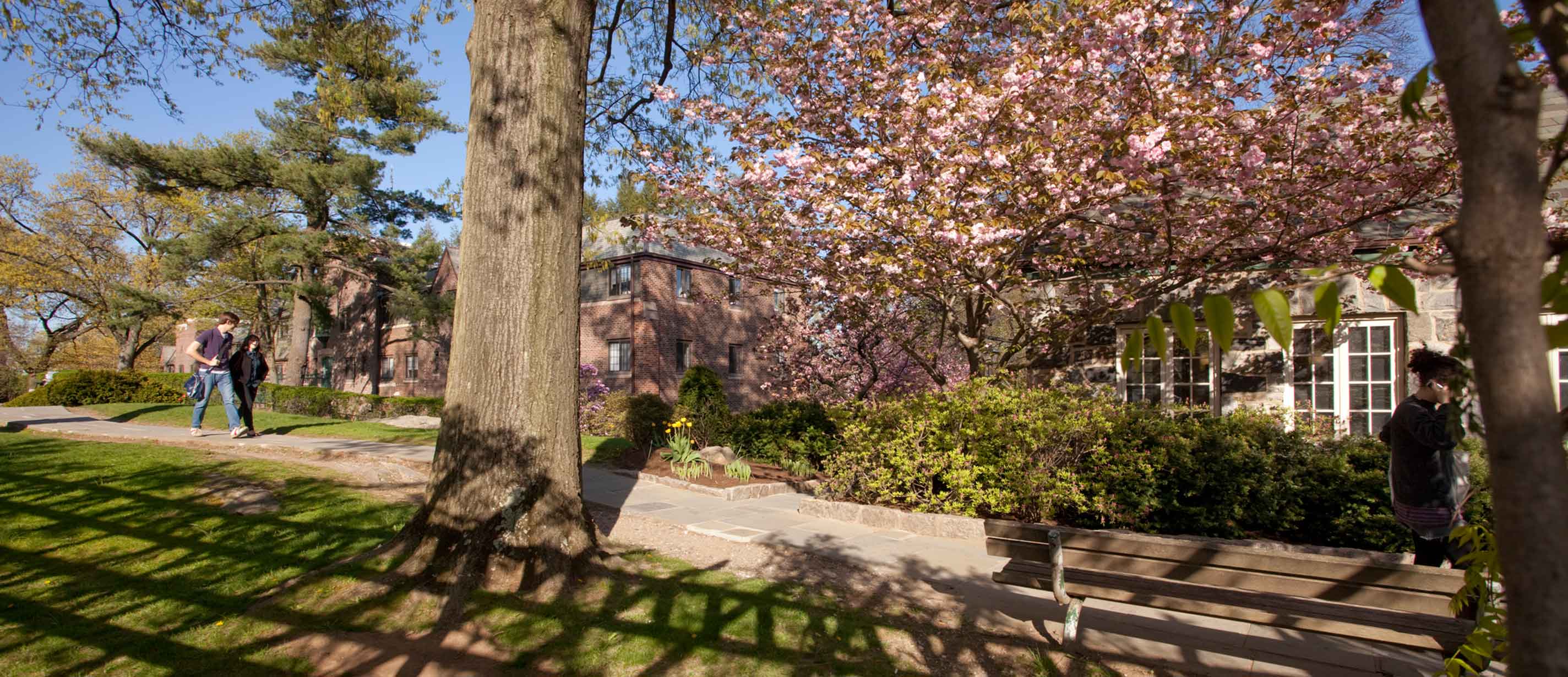 outdoor campus view in spring