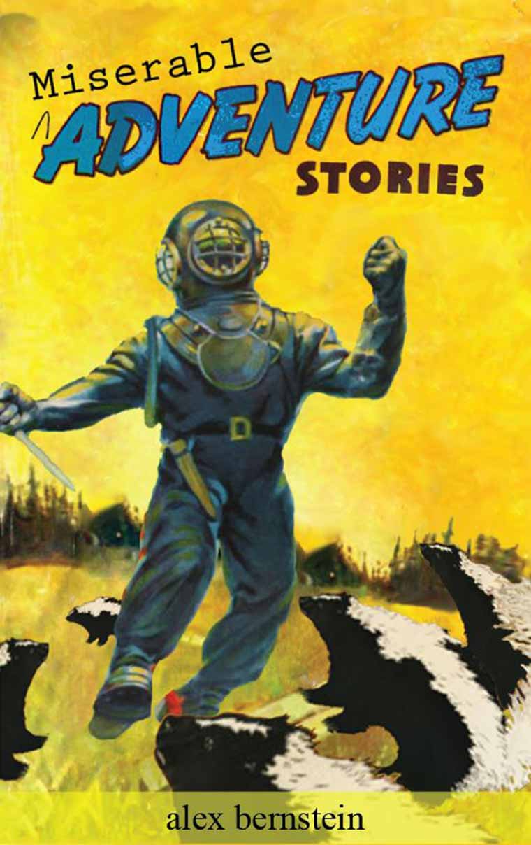 Miserable Adventure Stories book cover