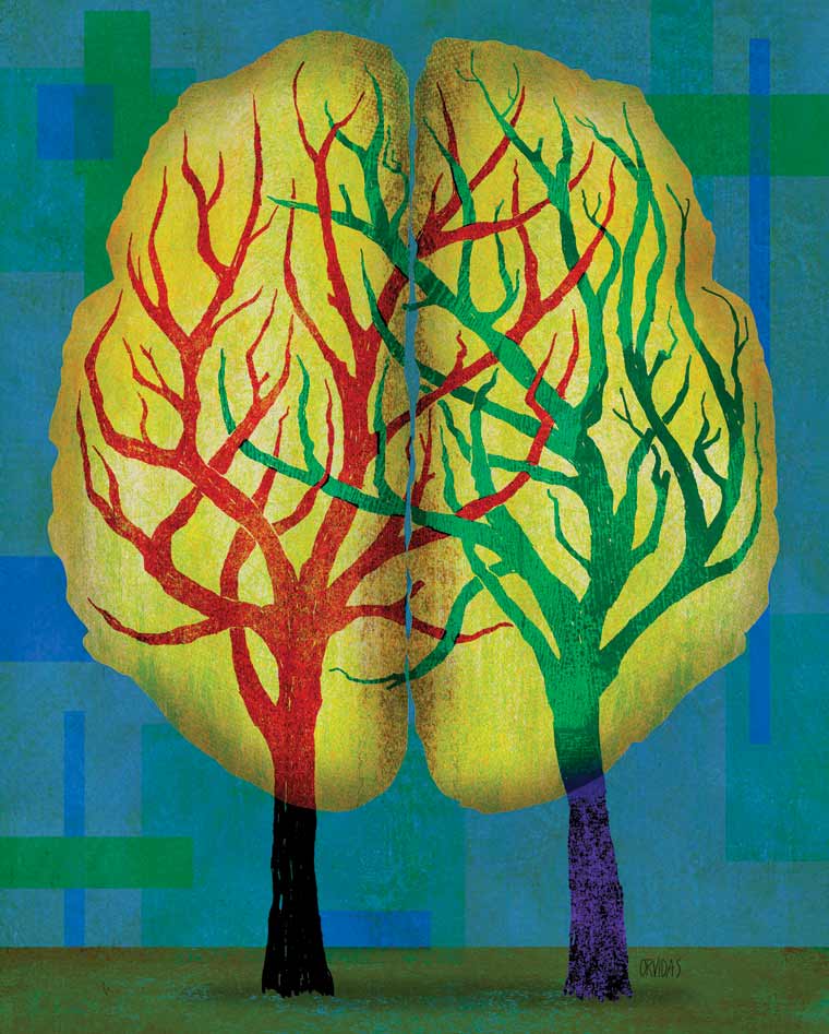 Illustration of brain and trees