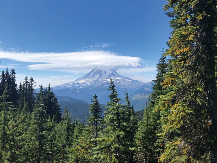 Landscape of forest and mountain