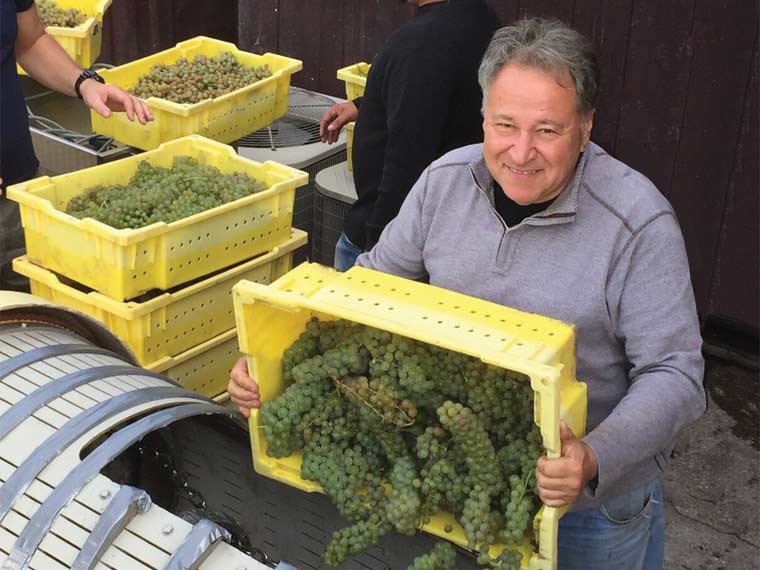 Photo of Jim Melillo unloading a crate of grapes