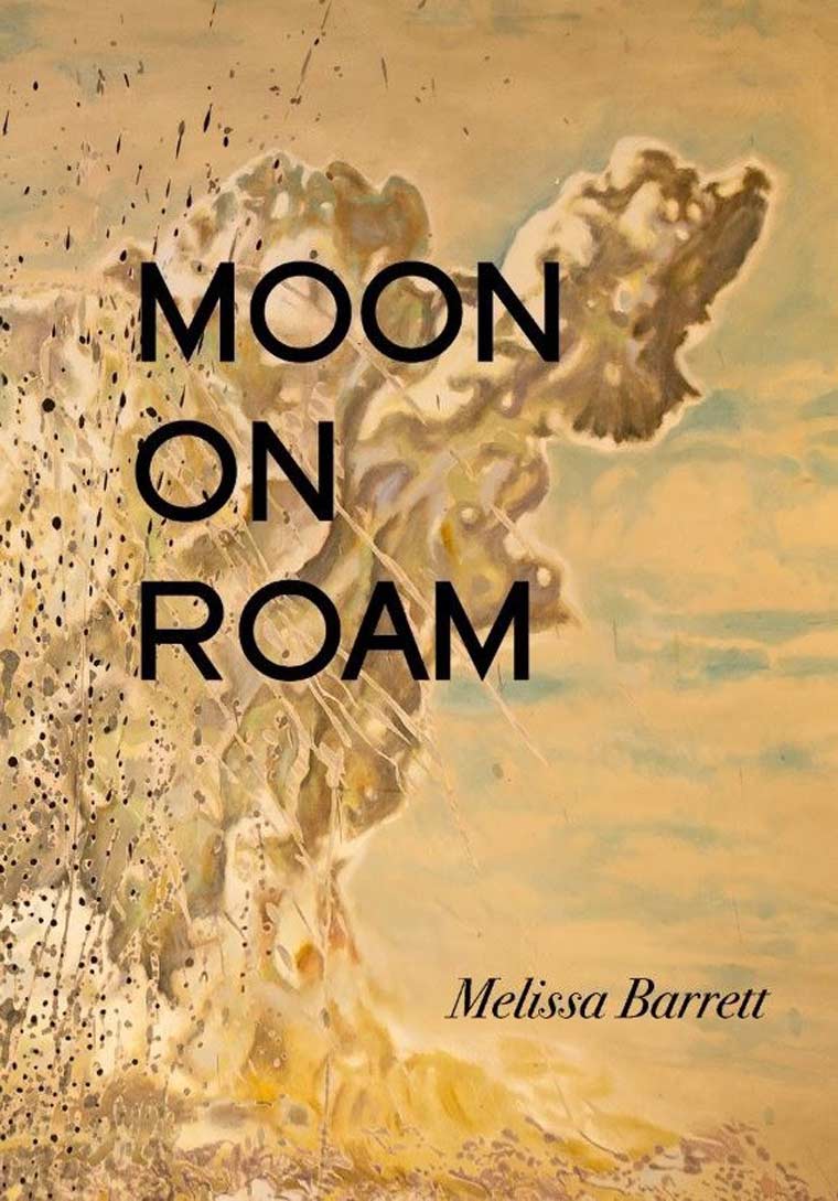 Moon on Roam book cover image