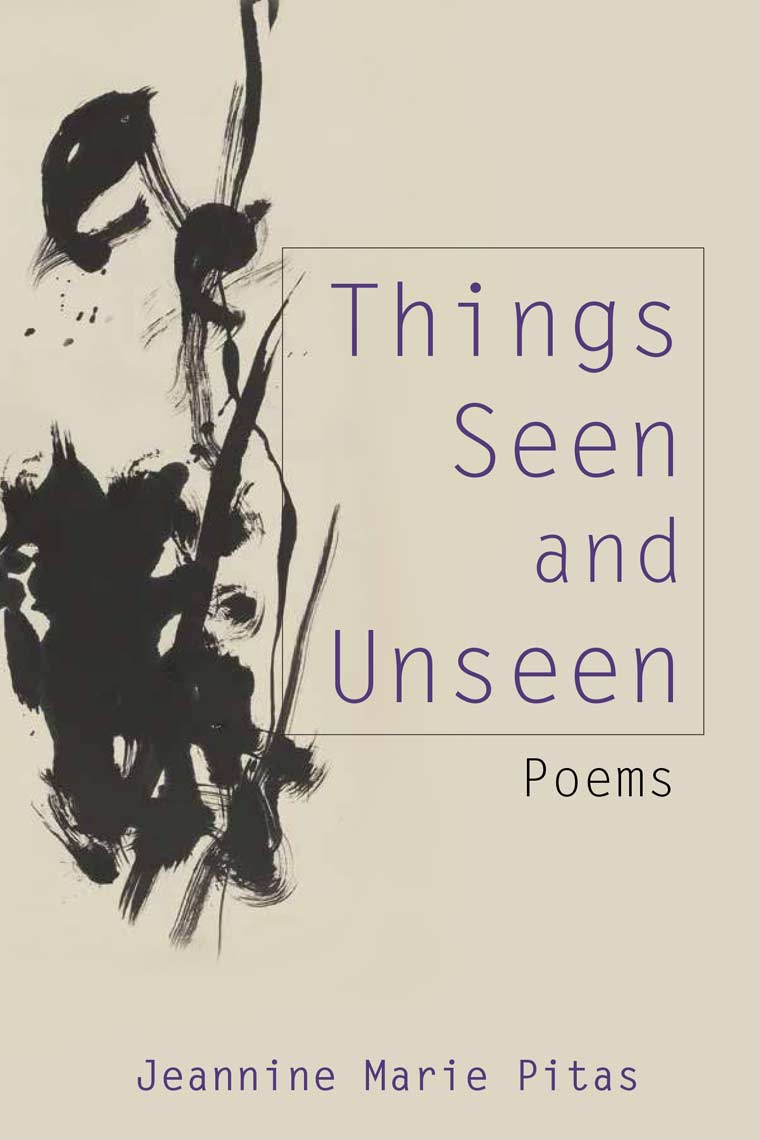 Things Seen and Unseen book cover image