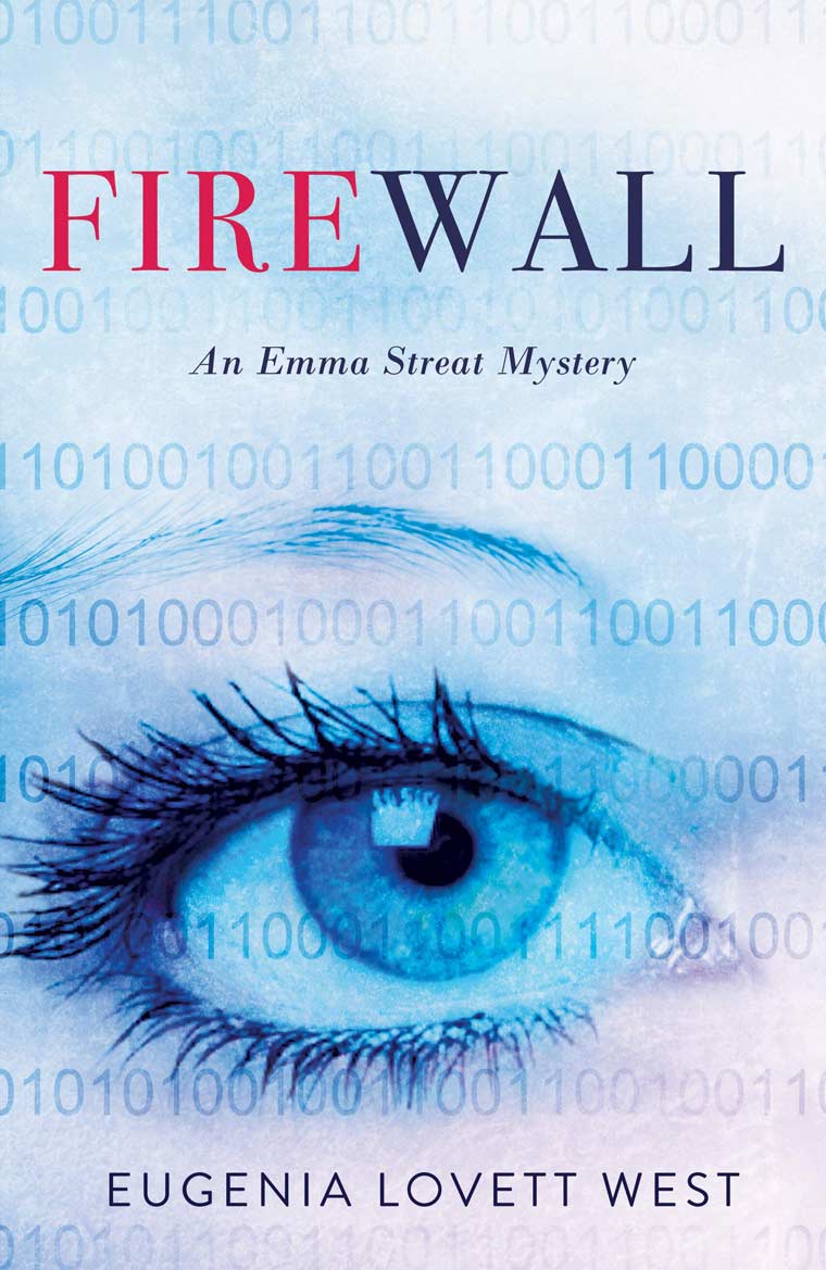 Firewall book cover image