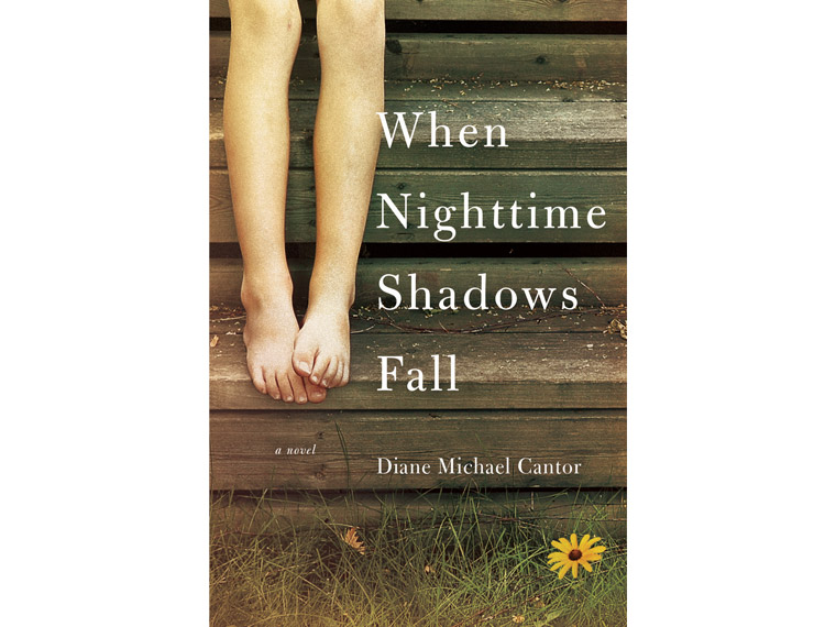 When Nighttime Shadows Fall book cover