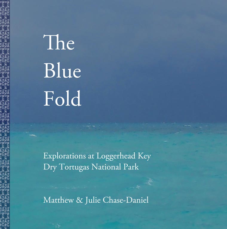The Blue Fold book cover