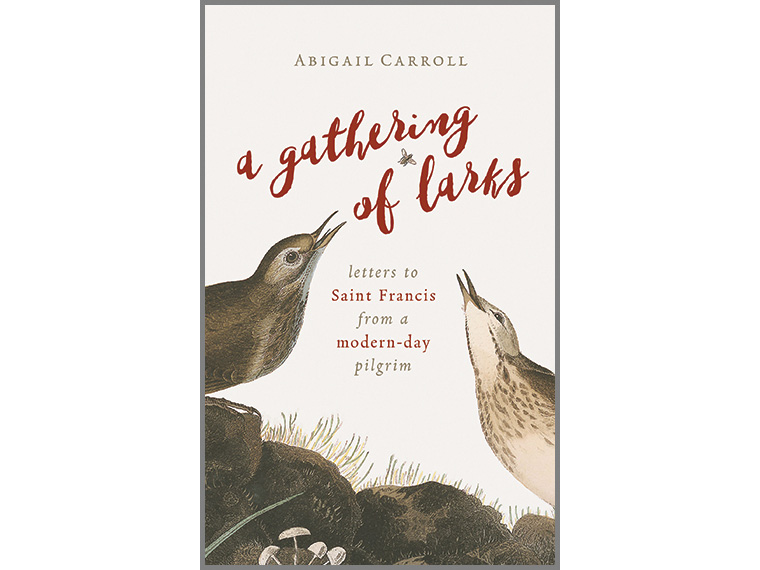 A Gathering of Larks: Letters to Saint Francis from a Modern-Day Pilgrim book cover