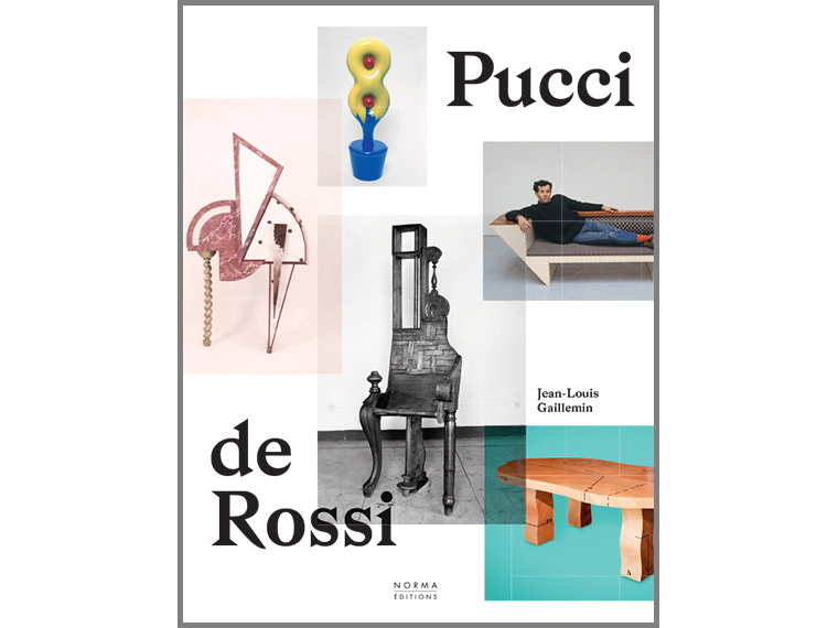 Pucci de Rossi book cover