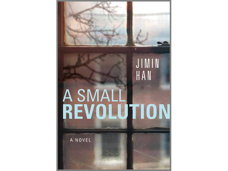 A Small Revolution book cover