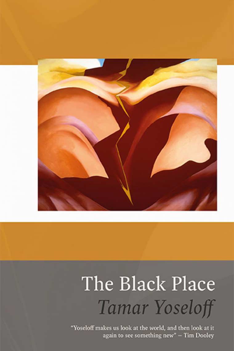 Cover image: The Black Place