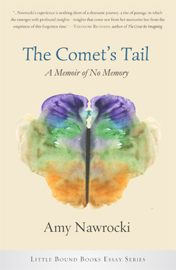 Cover of The Comet's Tail