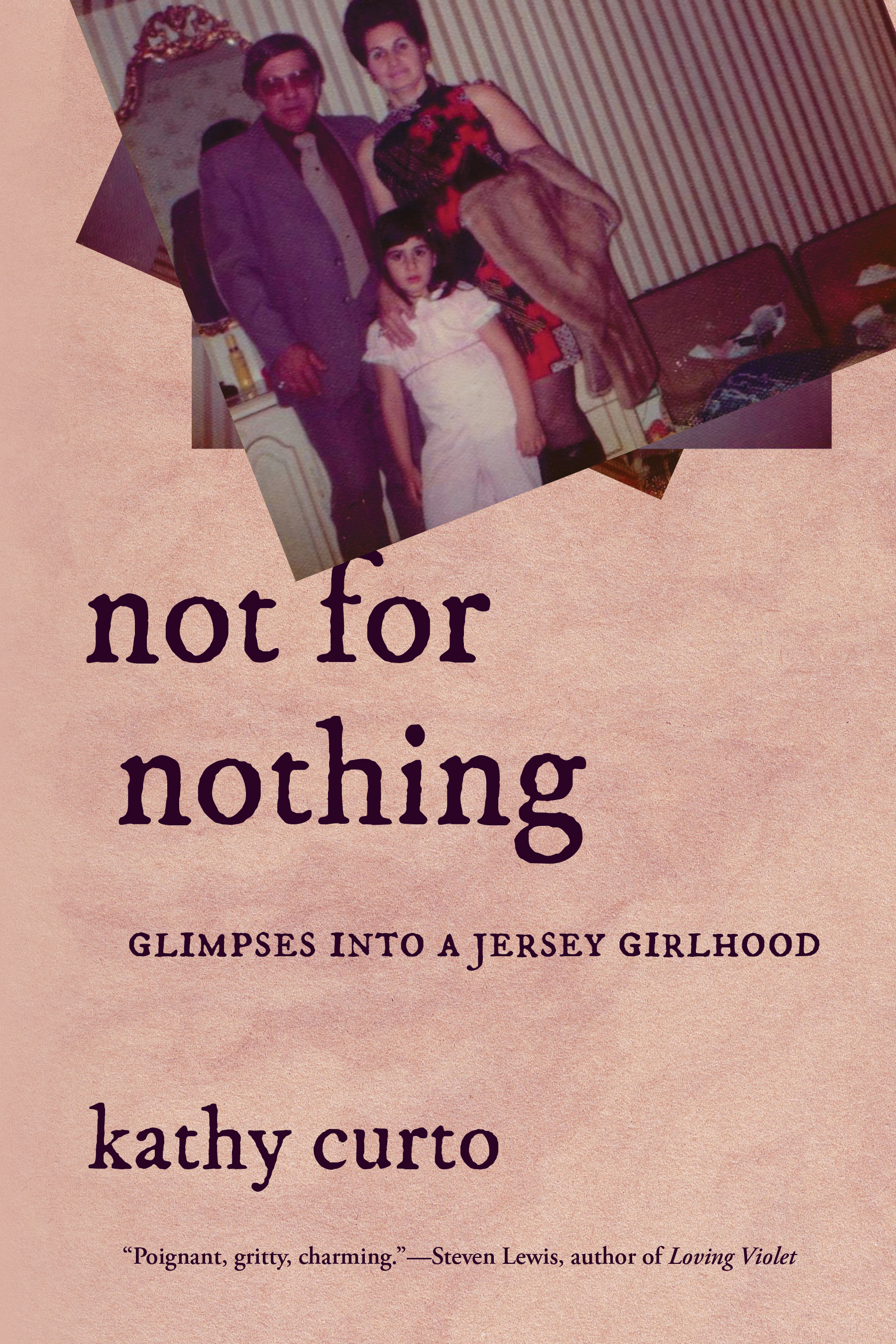 Cover of Not for Nothing