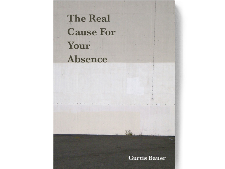Book written by Curtis Bauer