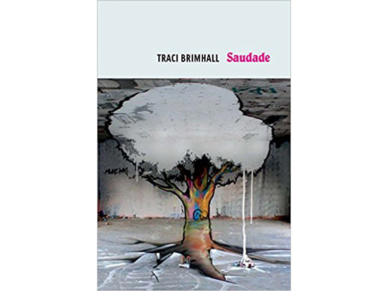 Book written by Traci Brimhall