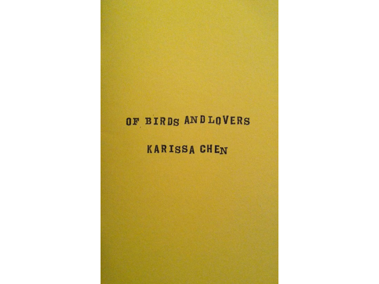 Book written by Karissa Chen