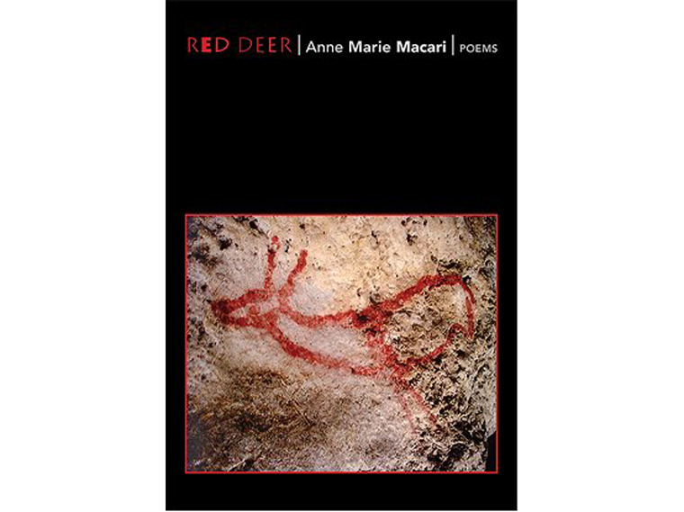 Book written by Anne Marie Macari