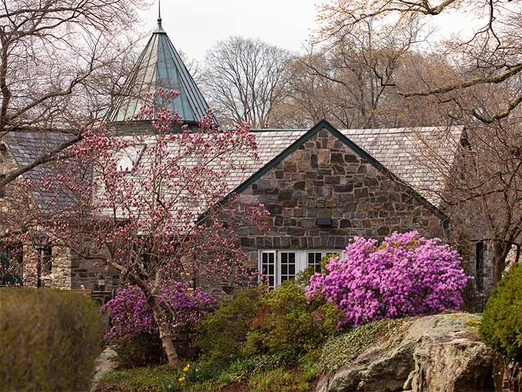 Exterior of stone building with purple flowering bushes