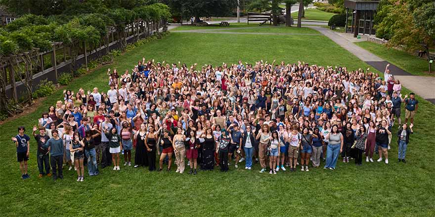 aearial photo of large group of people