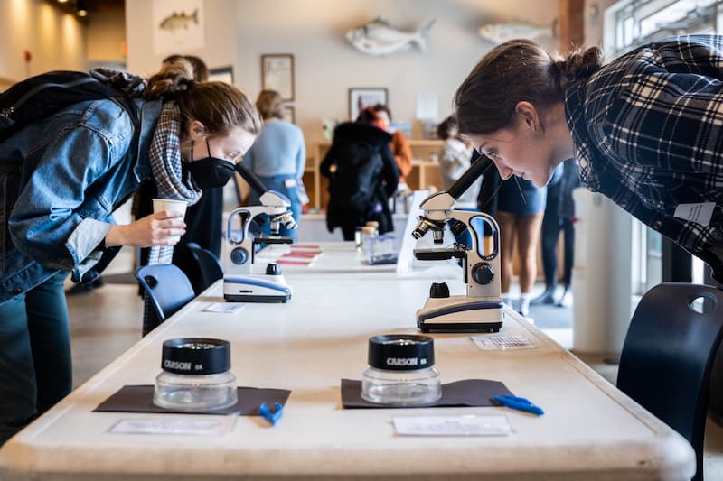 CURB open house attendees examine plankton.