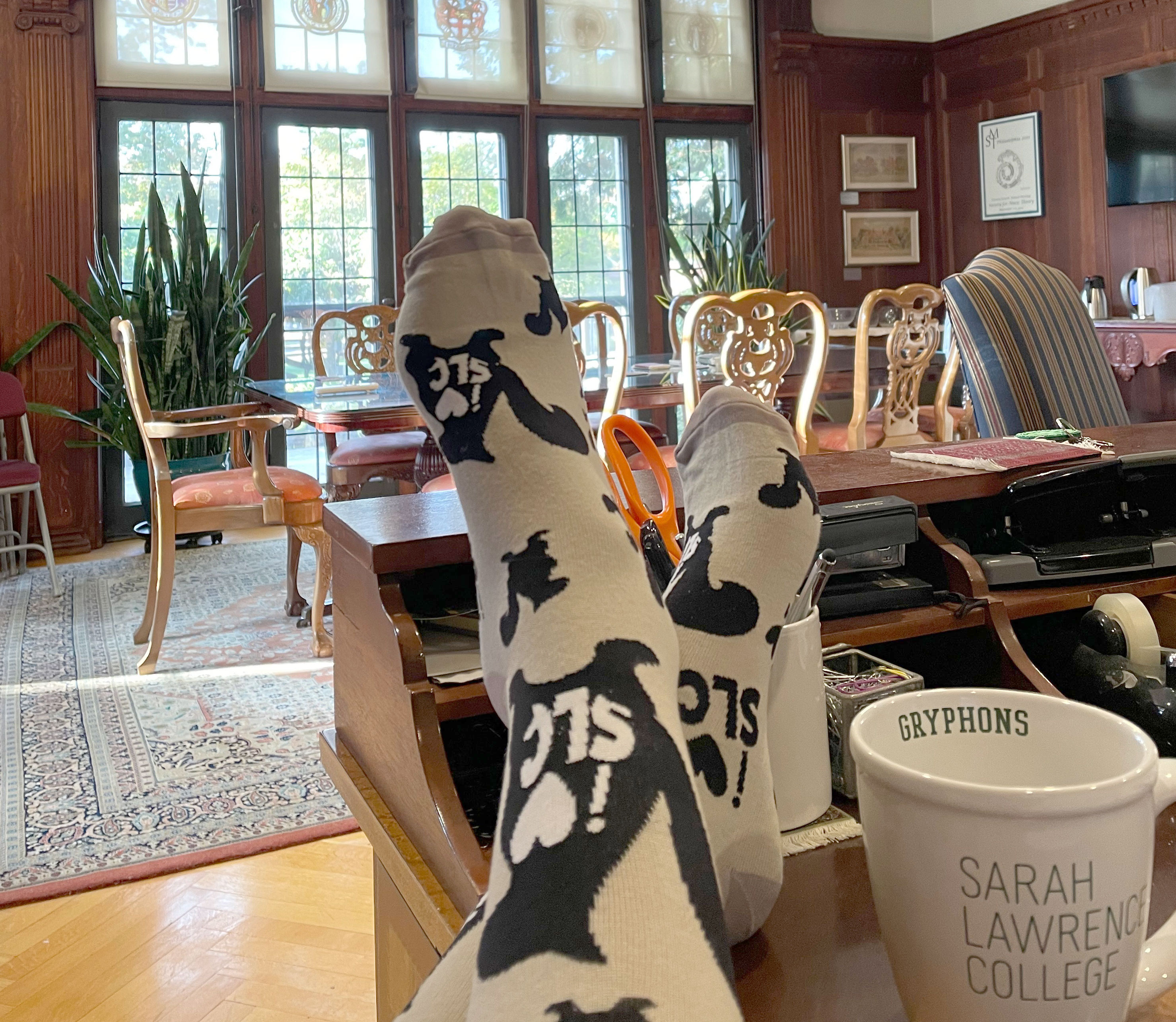 A pair of feet in squirrel socks up on a desk