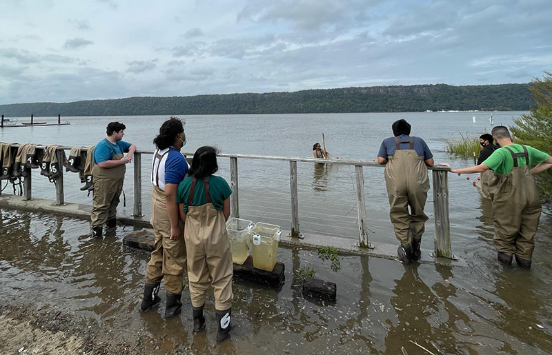 Seining in the Hudson River