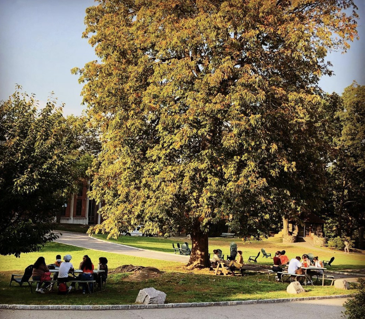 Students gathered outside on a fall day
