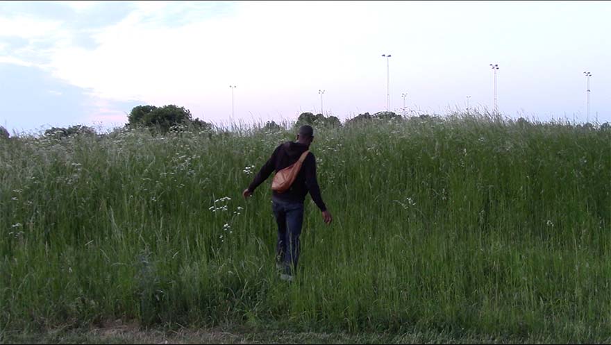 Person walking through high grass