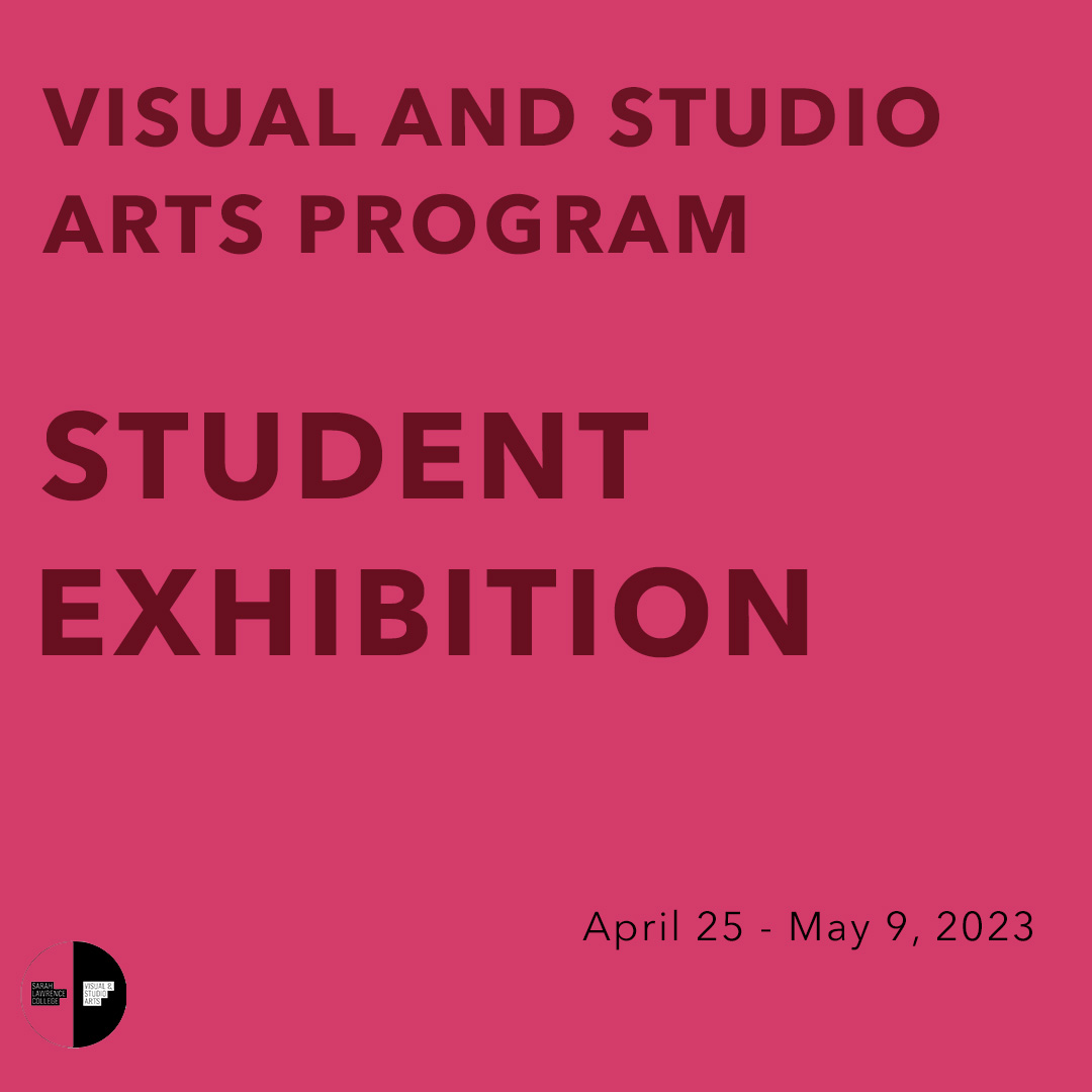 Visual and Studio Arts Program