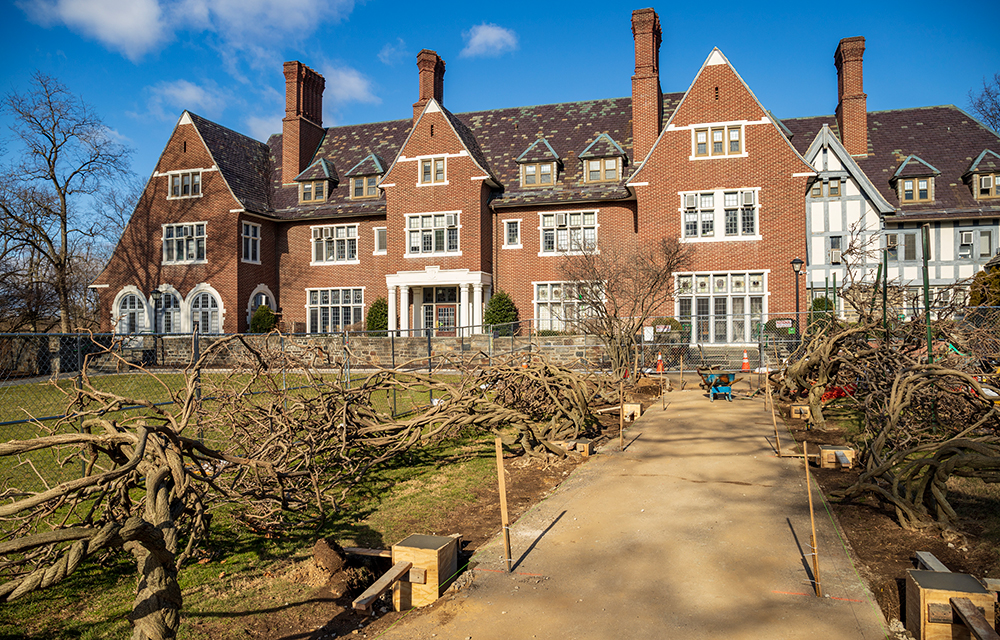 The wisteria arbor under construction